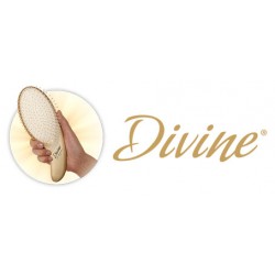 Spazzola Wet Detangler Divine-2