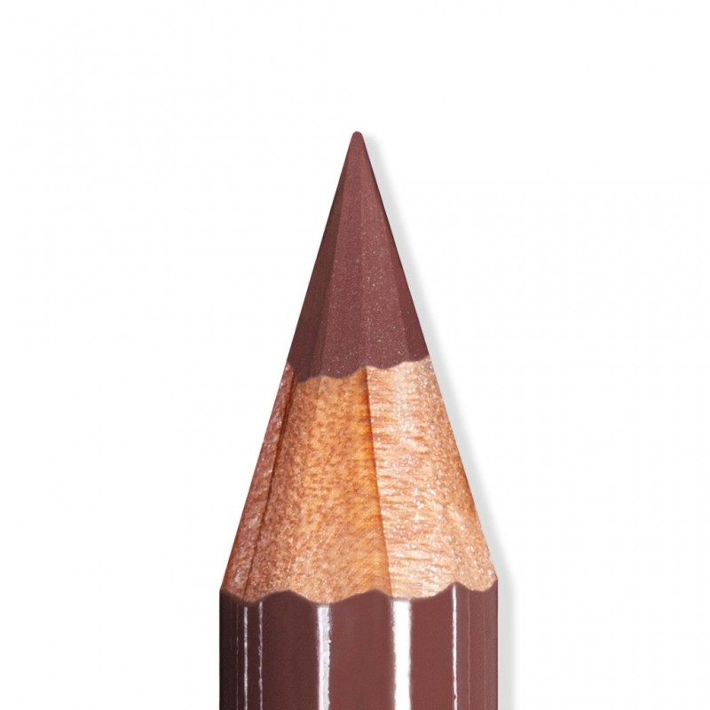 Artist Lips 102 Rosewood