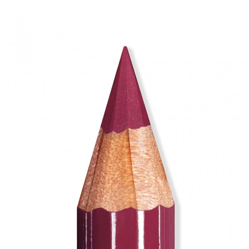 Artist Lips 110 Berry