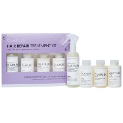 Olaplex Hair Repair Treatment Kit