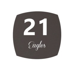 Vip Polish 1 Step N°21